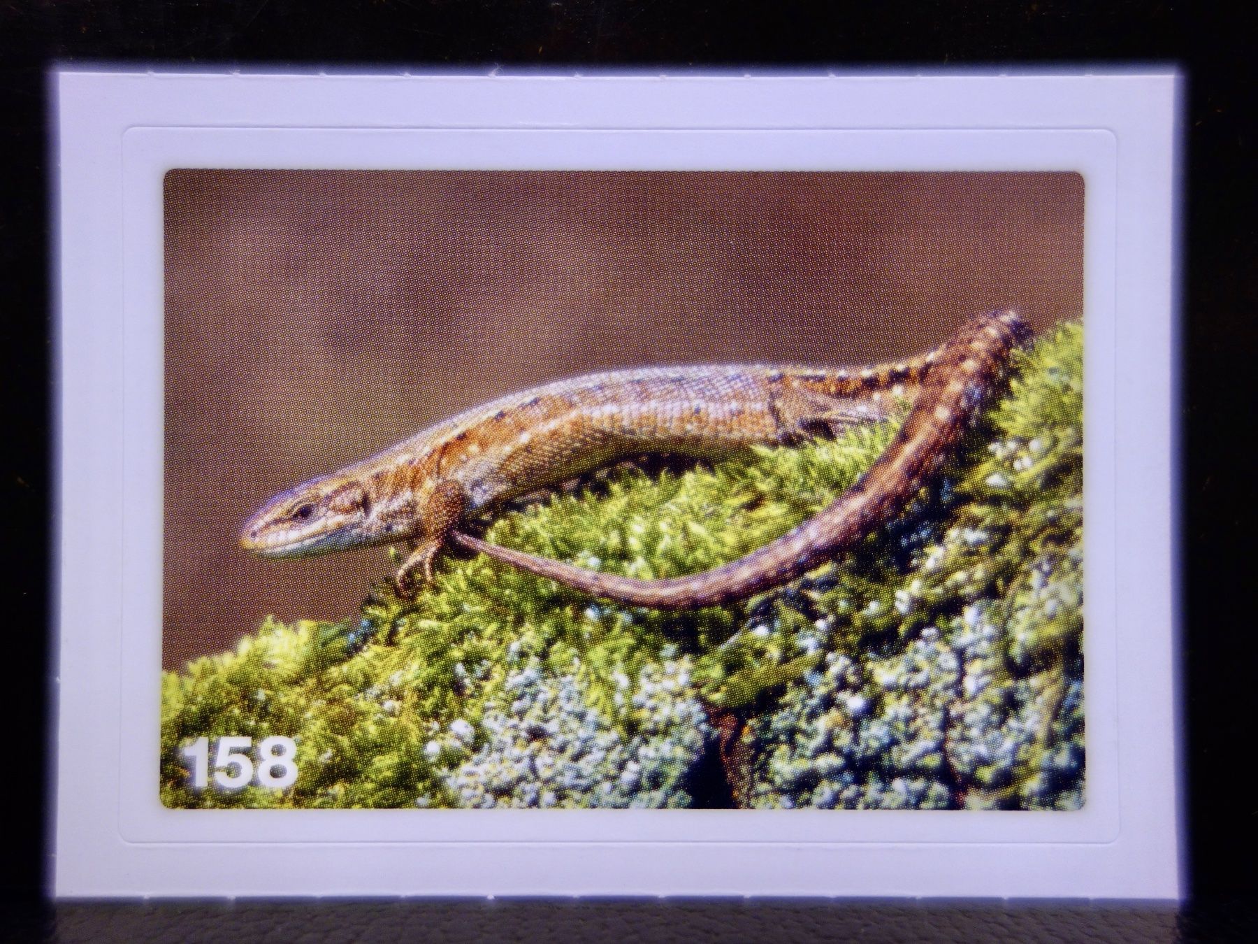 Migros Sammelbilder & Trading cards: MIGROS MANIA Nature Detectives Nr. 158 – Neu und originalverpackt aus Kerzers von djstarsky73