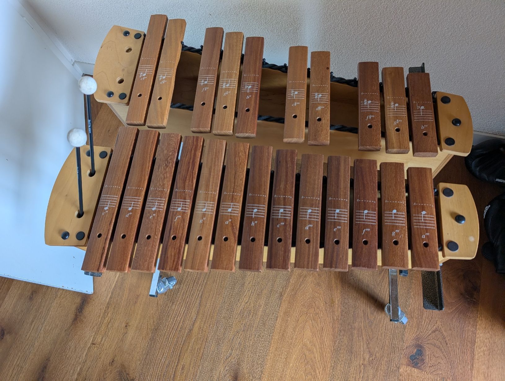 Sonor Strumenti musicali: Xylophon Sonor Primary – Usato da Rain venduto da yvonnehof01