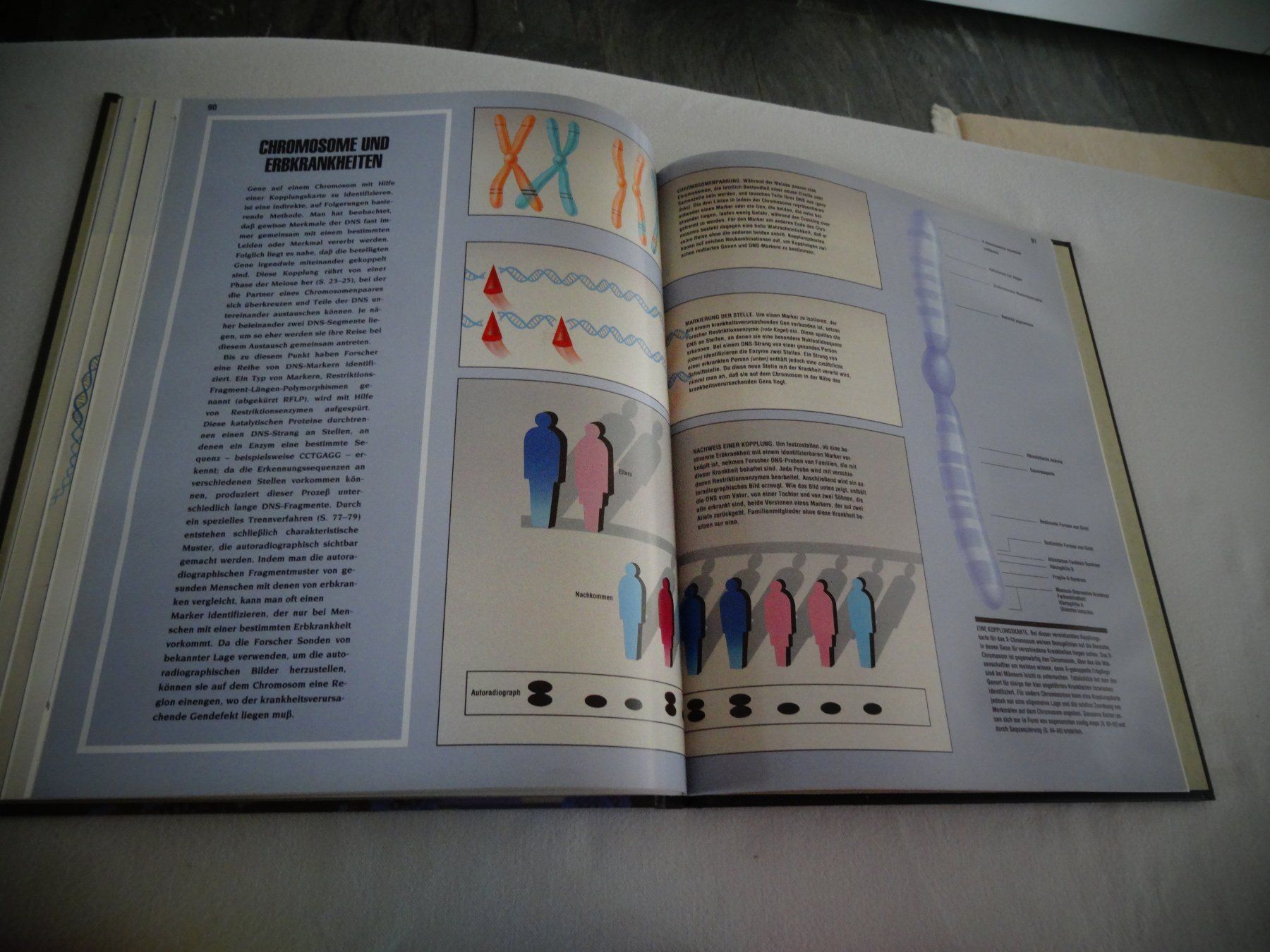 Libri: Der Genetische Code – Usato da Neerach venduto da jenny062 6