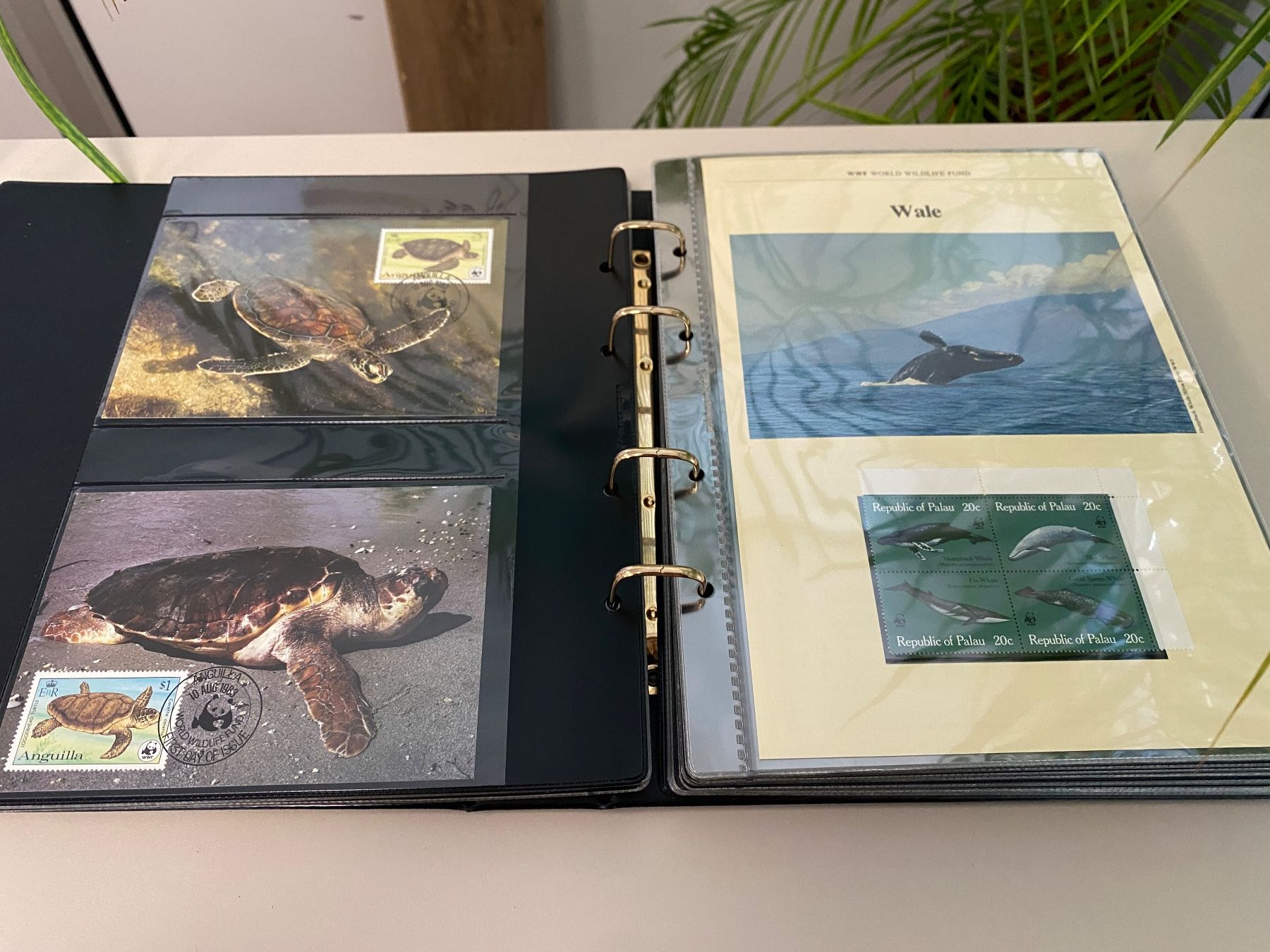 WWF Album: Briefmarkensammlung - WWF – Usato da Brügg BE venduto da doppelsalchow 3