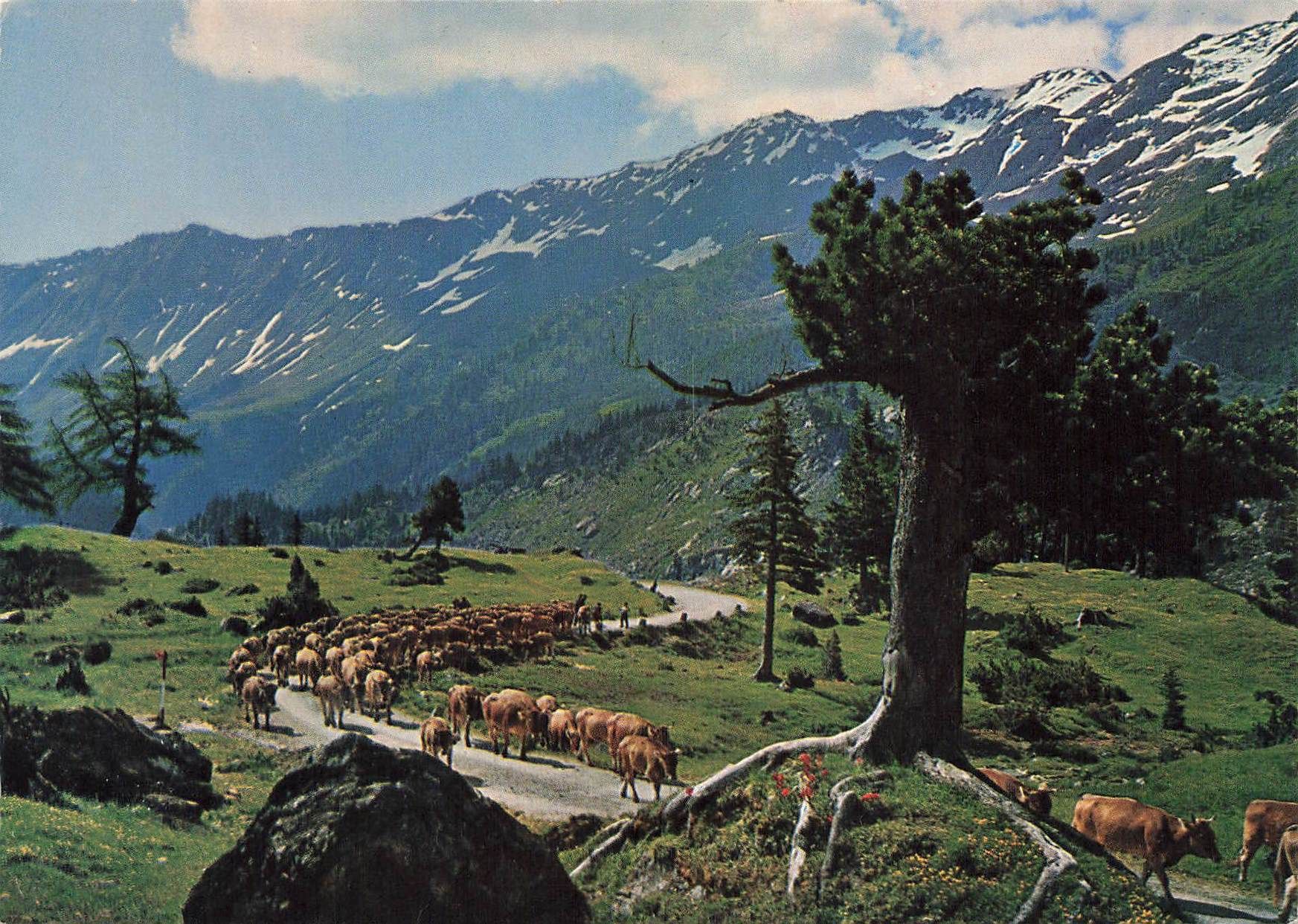 Cartoline postali: Lucomagno Val di blenio – Usato da Biasca venduto da Blenio71