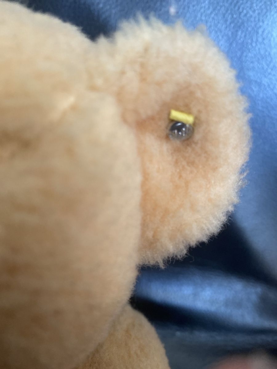 Steiff Giocattoli: Alter Steiff Teddy rar – Usato da Basel venduto da Barry27 1