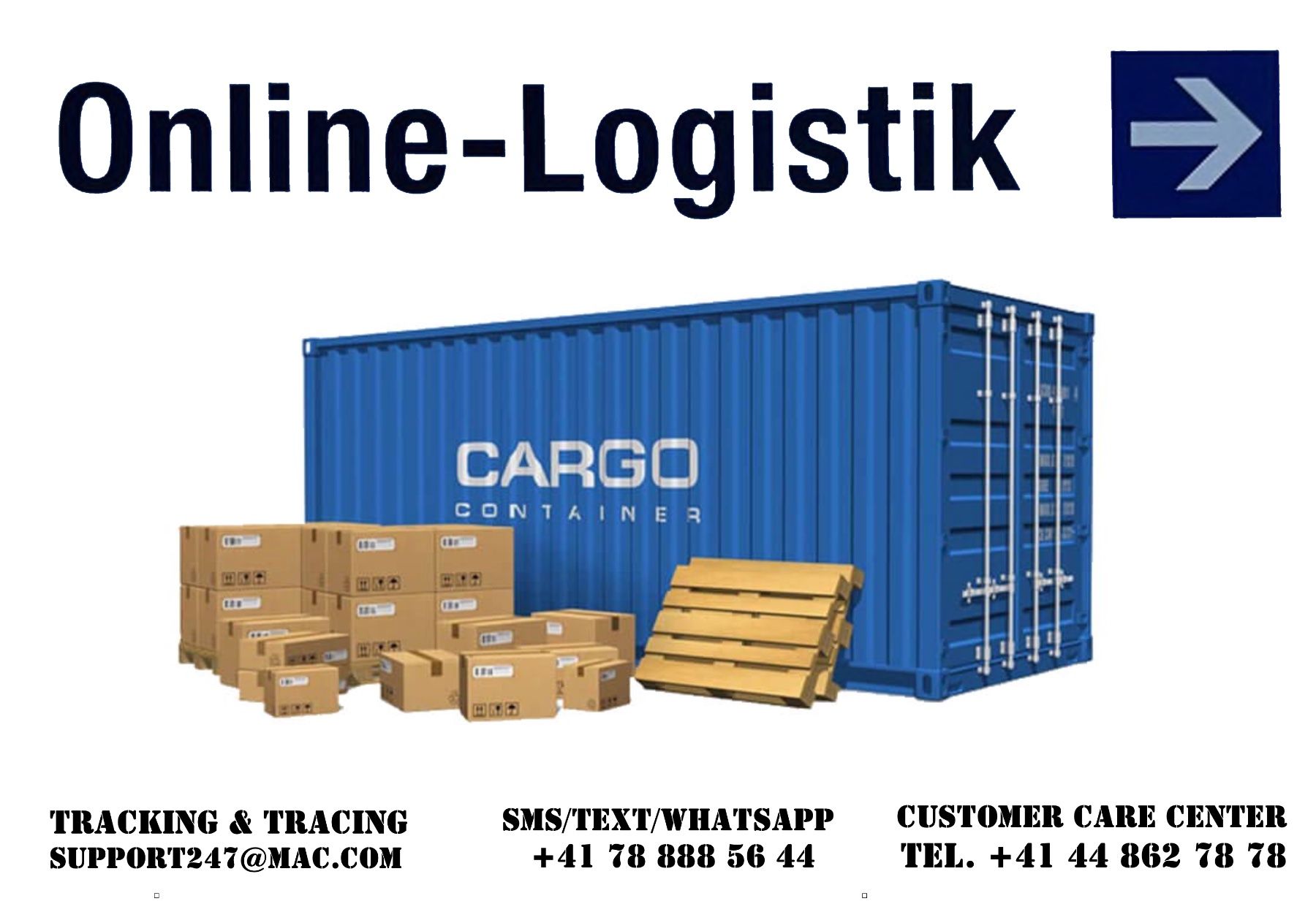 Carrelli di trasporto: Plattformwagen – Usato da Bülach venduto da StoreInShop.com 6