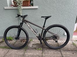 SPECIALIZED Rockhopper Mountainbike