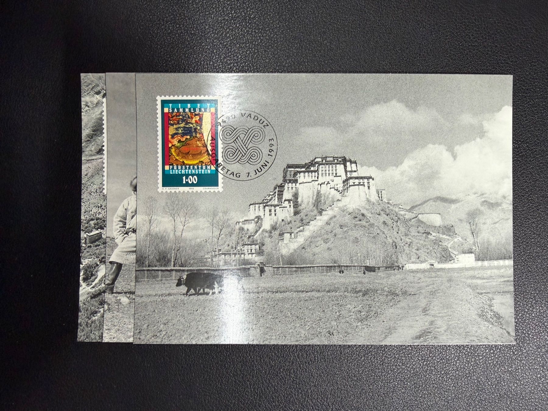 Tutti i francobolli: Liechtenstein Maximumkarten Nr. 115 / 1993 – Usato da oberrüti venduto da jeanmei