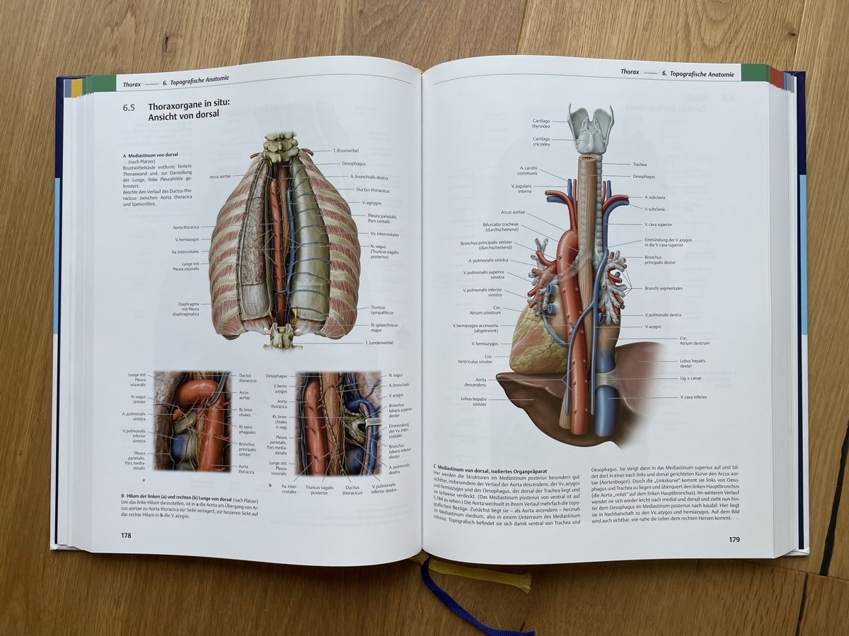 Bücher: PROMETHEUS Innere Organe – Gebraucht aus Hindelbank von smb19 2