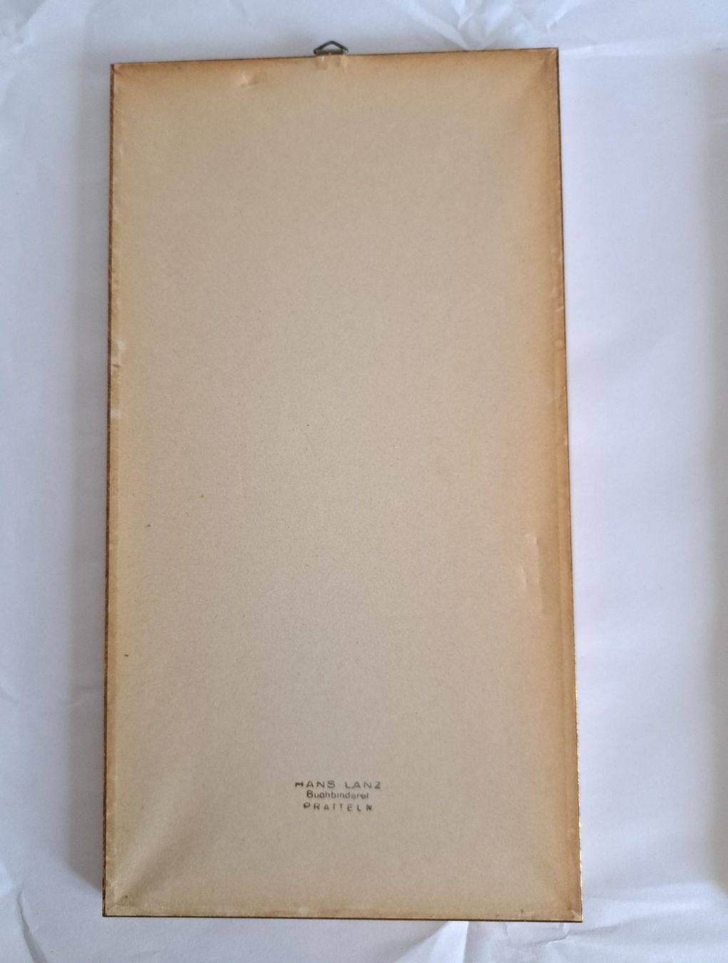 Foto & Immagini: C-Falter Schmetterlinge Vintage Botanik – Usato da Basel venduto da Patiscat 3