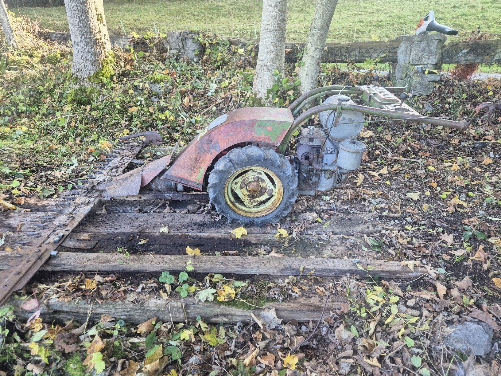 Aebi Tagliaerba: Motormäher AEBI AM 52 – Usato da Nunningen venduto da Pullax66 1