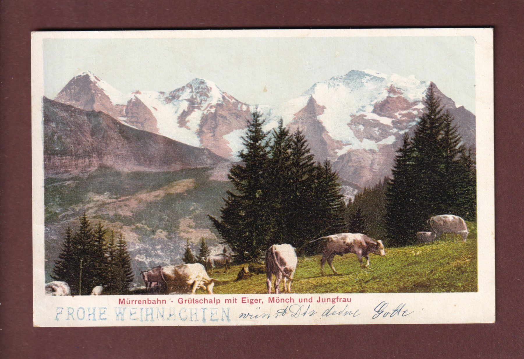 Cartoline postali: Mürrenbahn - GRÜTSCHALP - Kühe – Usato da Pully venduto da nicecards-shop