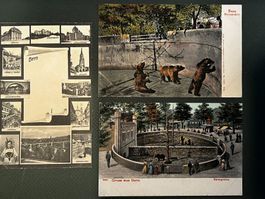3 AK v. Bern (ca. 1905): Bärengraben + Hauptsehenswürdigkeit