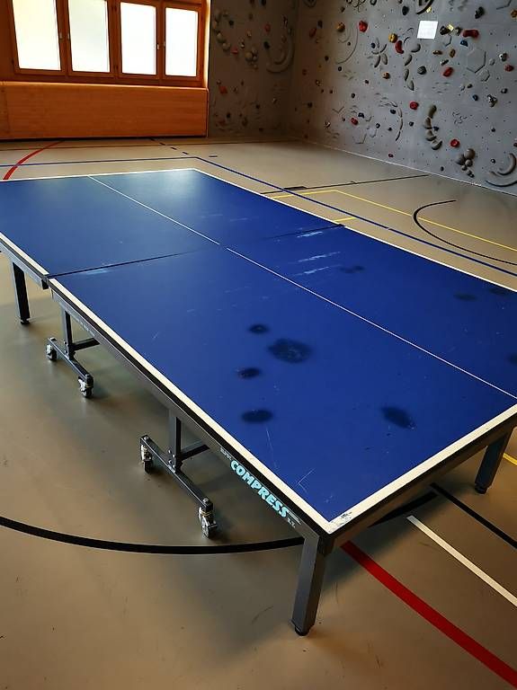 Tennis da tavolo: Indoor-Tischtennistisch – Usato da Rüti ZH venduto da Ttcrts 2