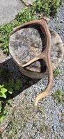 1 kleine Hirsch Abfurfstange 