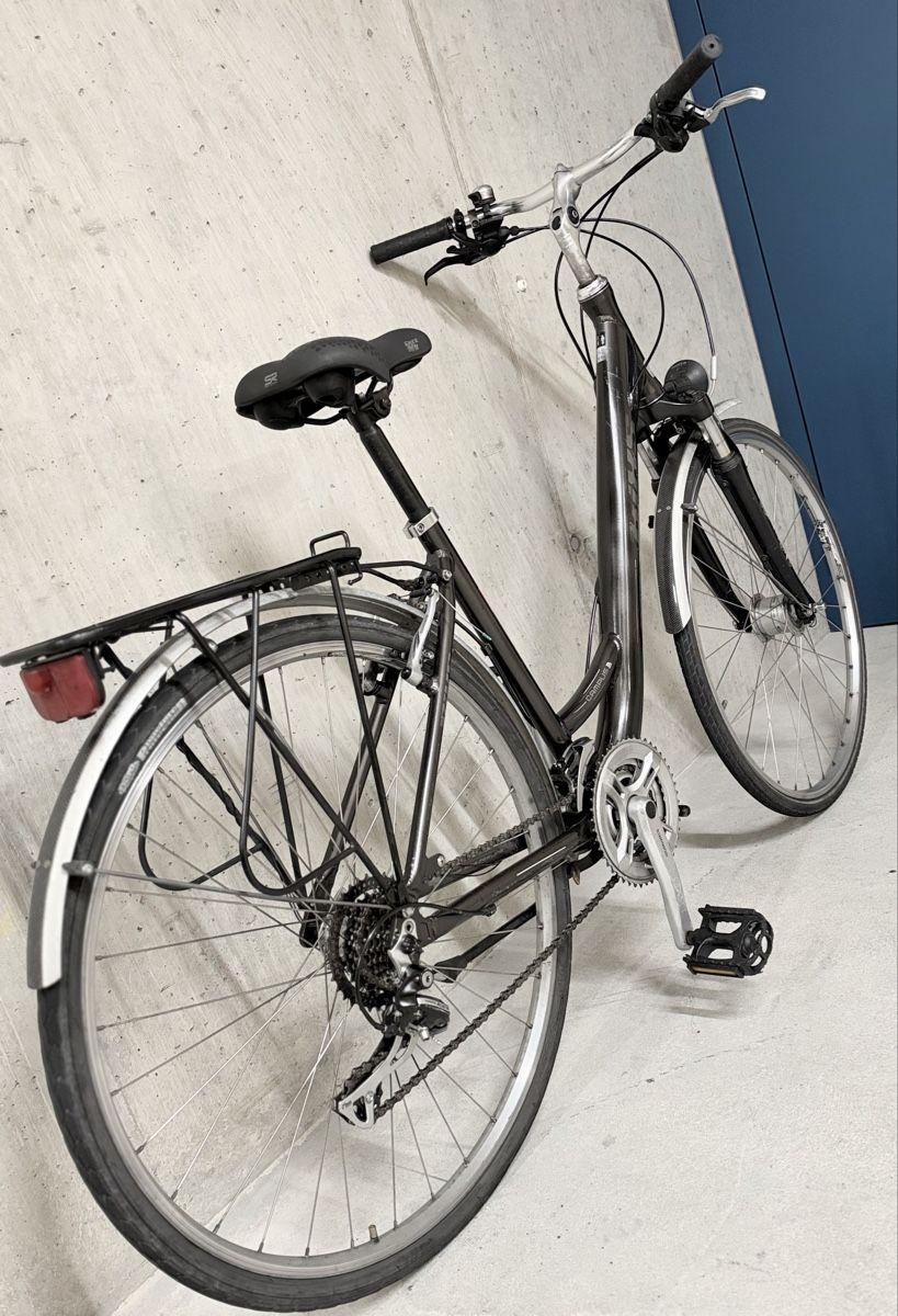 Bixs Vélos: Bixs Damen Velo – D'occasion à Zürich par Bidon3011 4