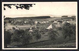 Rumendingen, Gesamtansicht aus der Vogel