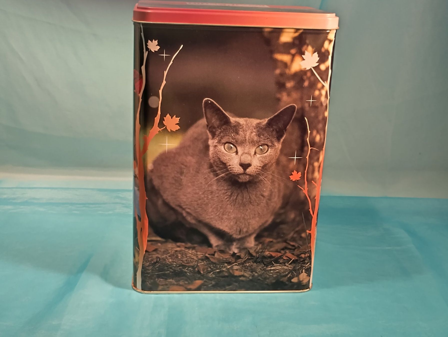 Sonstige Dekorationen & Accessoires: Grosse ROYAL CANIN Blechbüchse, Katzen – Gebraucht aus Bellach von JingleCherry
