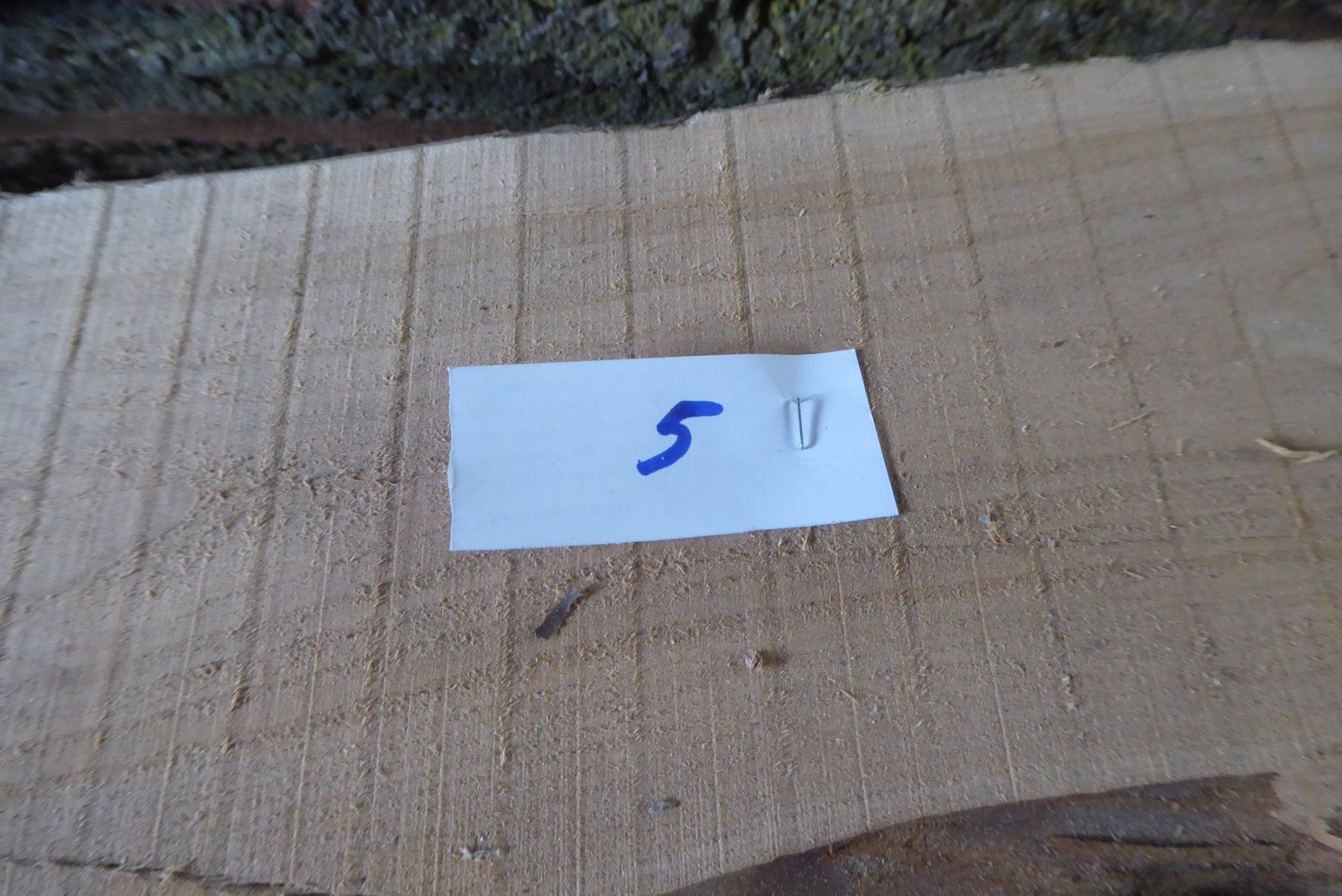 Articoli in legno: Kirschbaumbrett 40 mm – Nuovo (secondo la descrizione) da Sumiswald venduto da Hennri1 3