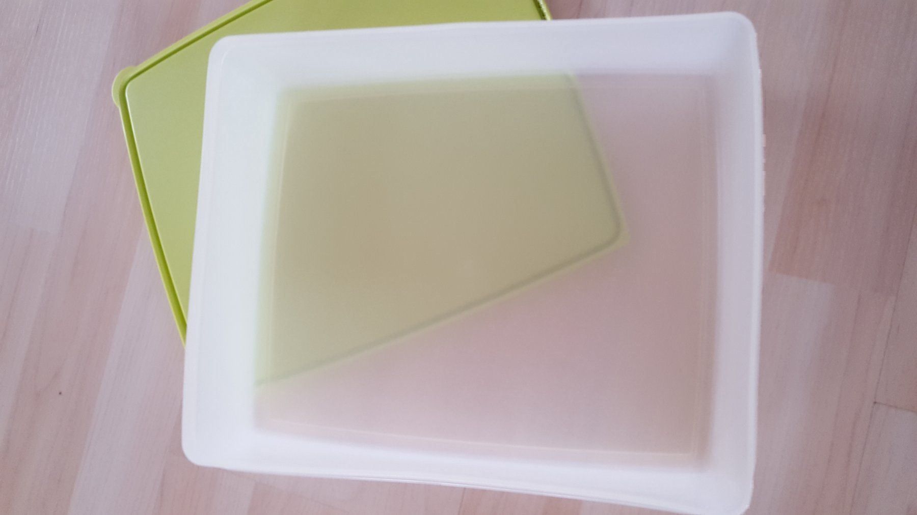 Tupperware Contenitori & Simili: Ravioletto + Antarktika Plus 3 Liter – Usato da Schönengrund venduto da Liane63 5