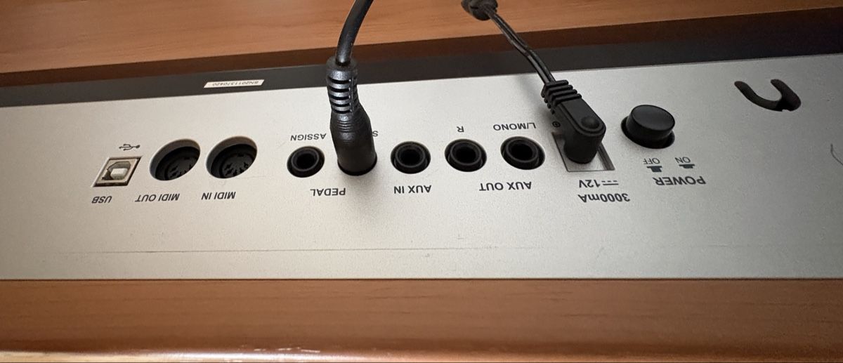 C.Giant Strumenti musicali: ePiano C.Giant – Usato da Grenchen venduto da Schwasie1 6
