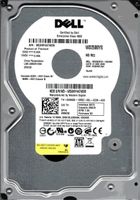 250GB neue Profi HDD | Disque dur fiable