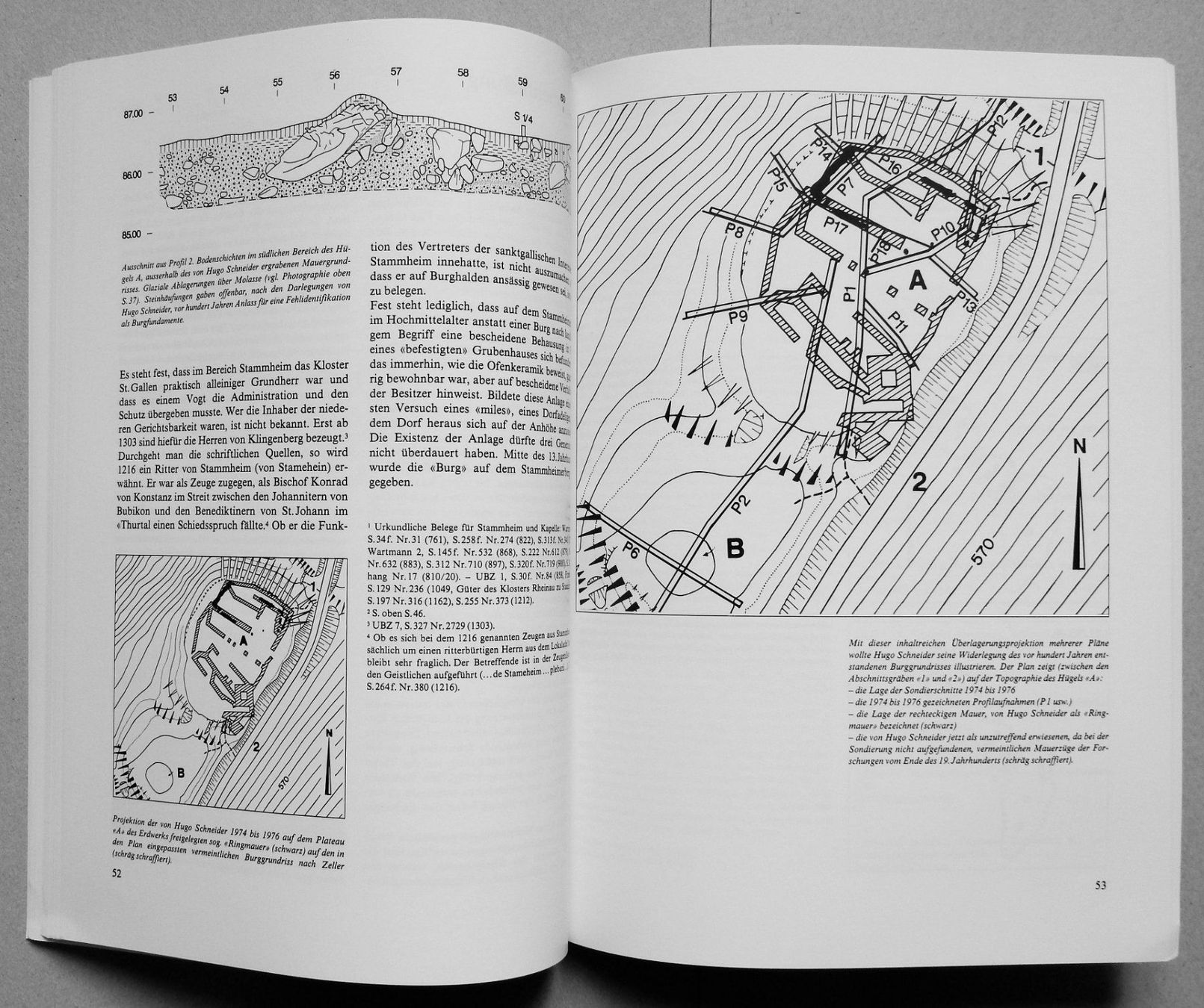 Libri: Pfostenbau und Grubenhaus – Usato da Burgdorf venduto da Joggigring 3