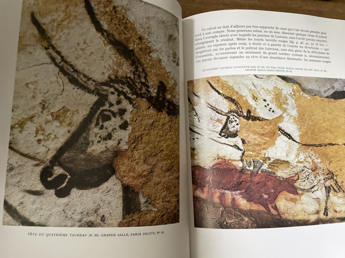 Libri: Kunstkatalog Lascaux Skira 1992 – Usato da Winterthur venduto da cheerio97 6