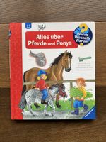 Bilderbuch Pferde & Ponys
