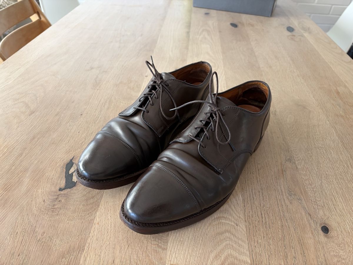 Alden Chaussures hommes: Alden Shell Cordovan Herren Schnürschuh Gr 12.5 – D'occasion à Wohlen AG par zrhdus