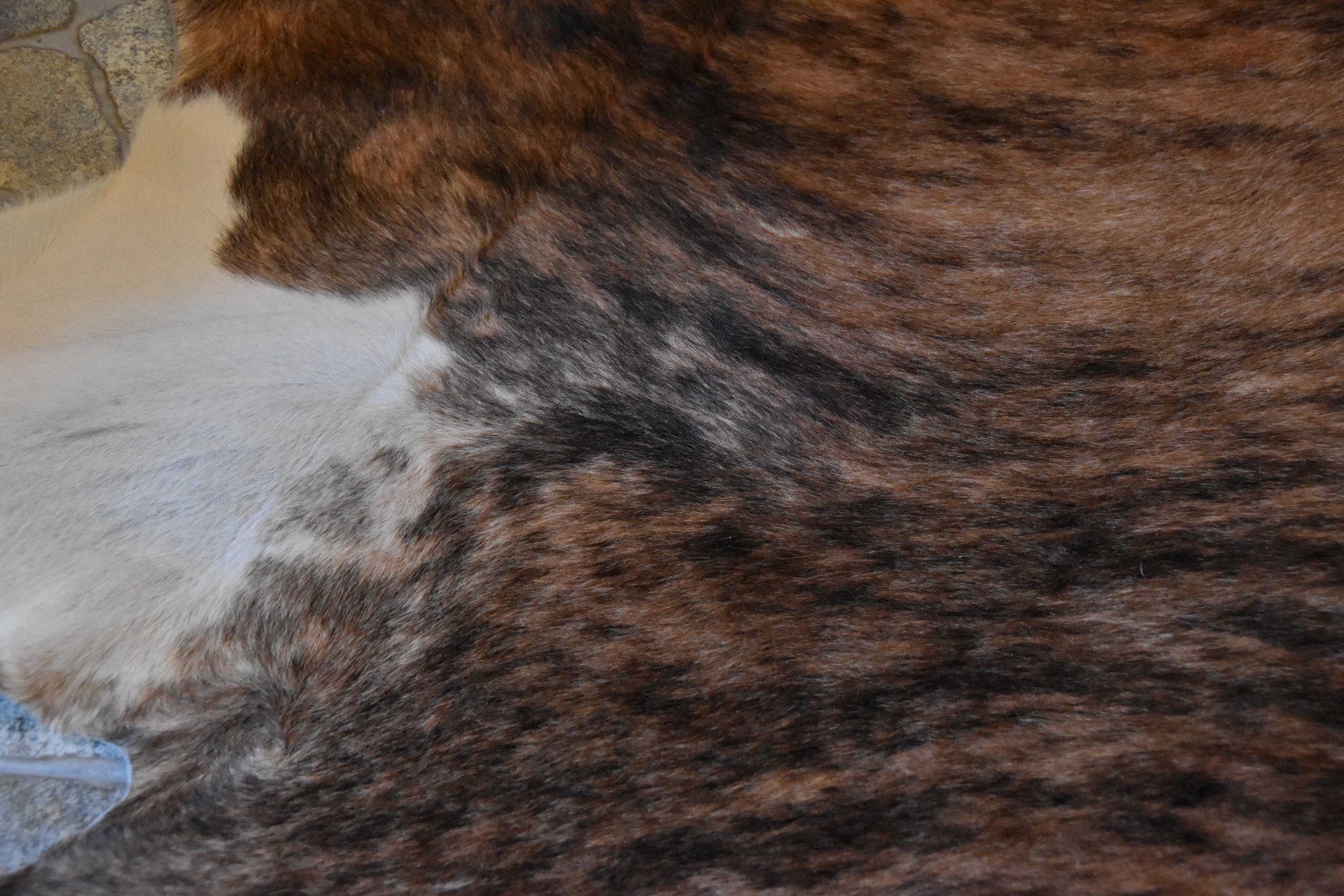 Il mondo degli animali: Peau de vache Ethno – Usato da Vaulion venduto da sambigben 4