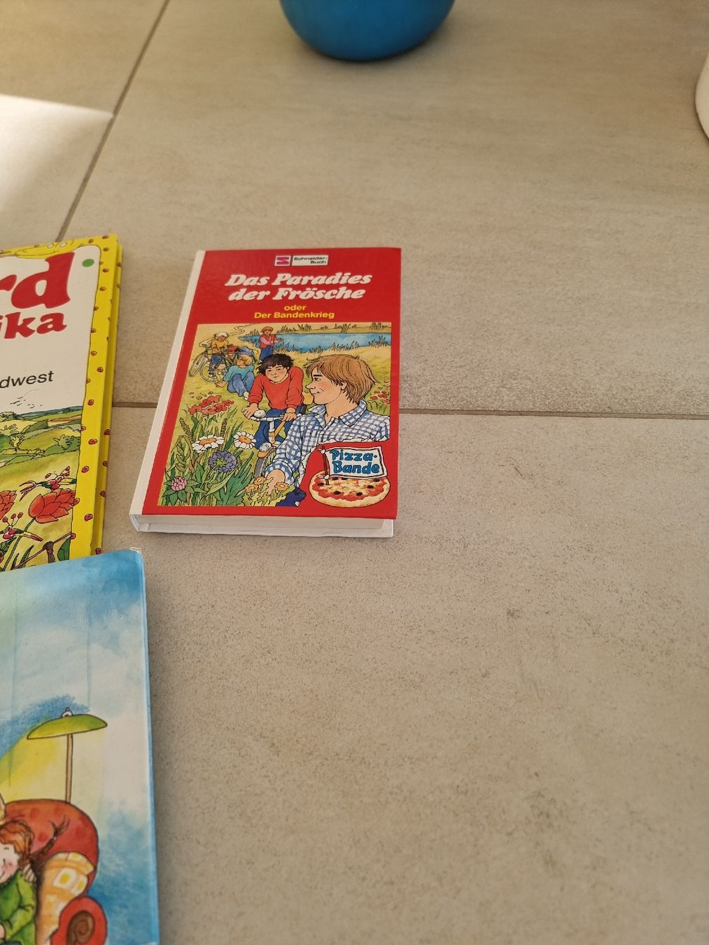 Libri: Bücherpaket mit 11 Büchern – Usato da Ortschwaben venduto da Patrick1978 3