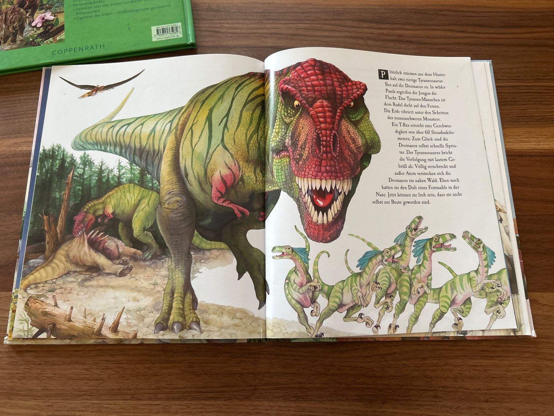 Libri: Dinosaurier Bücher von Coppenrath – Usato da Magden venduto da ctw_mp7b 3