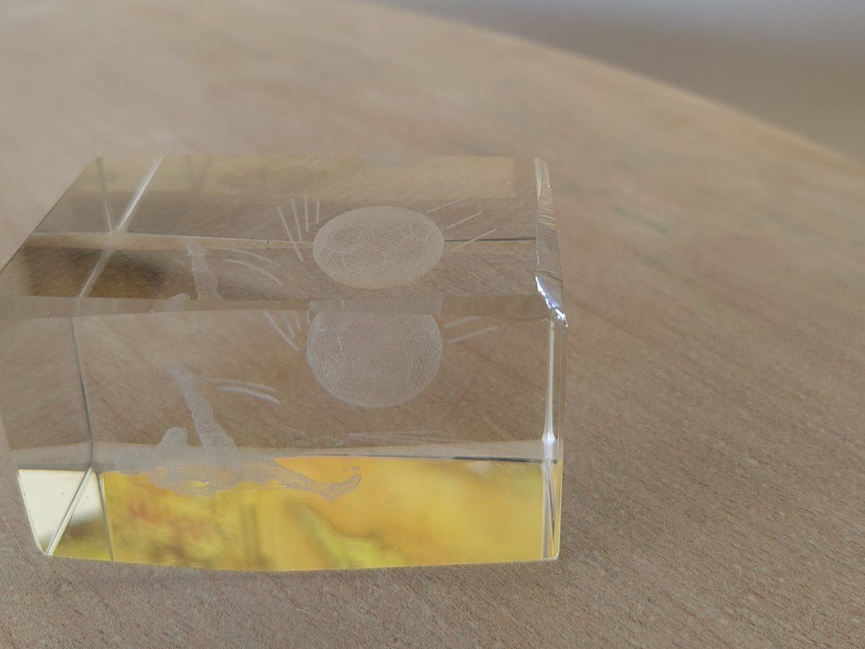 Tutte le decorazioni: Glaskubus Fussball – Usato da Effretikon venduto da GLBeeler 1