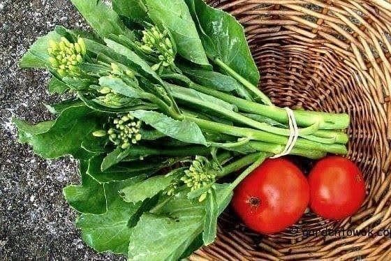 Piante & sementi: BROCOLI CHINOIS KAI-LAN 30g – Nuovo (secondo la descrizione) da Bremblens venduto da FIBONACCI369 1