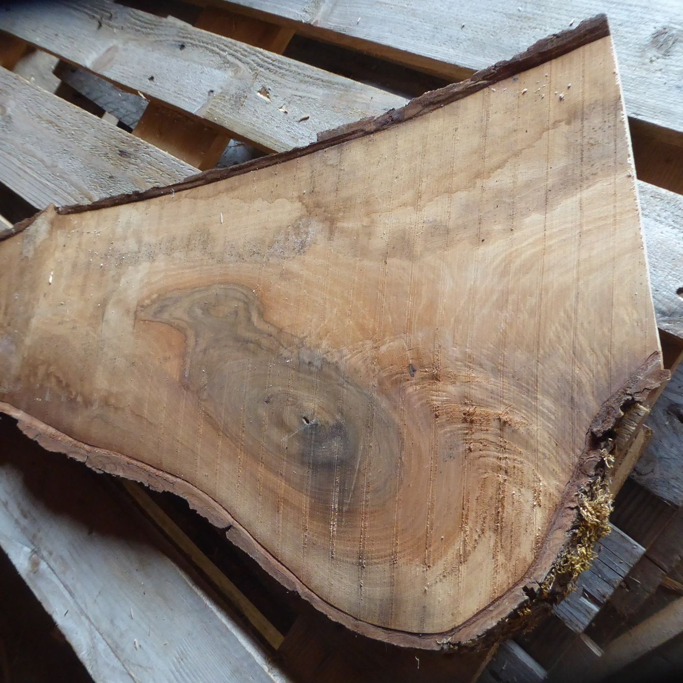 Holzartikel: Nussbaumbrett 24 mm – Neu (gemäss Beschreibung) aus Sumiswald von Hennri1 1