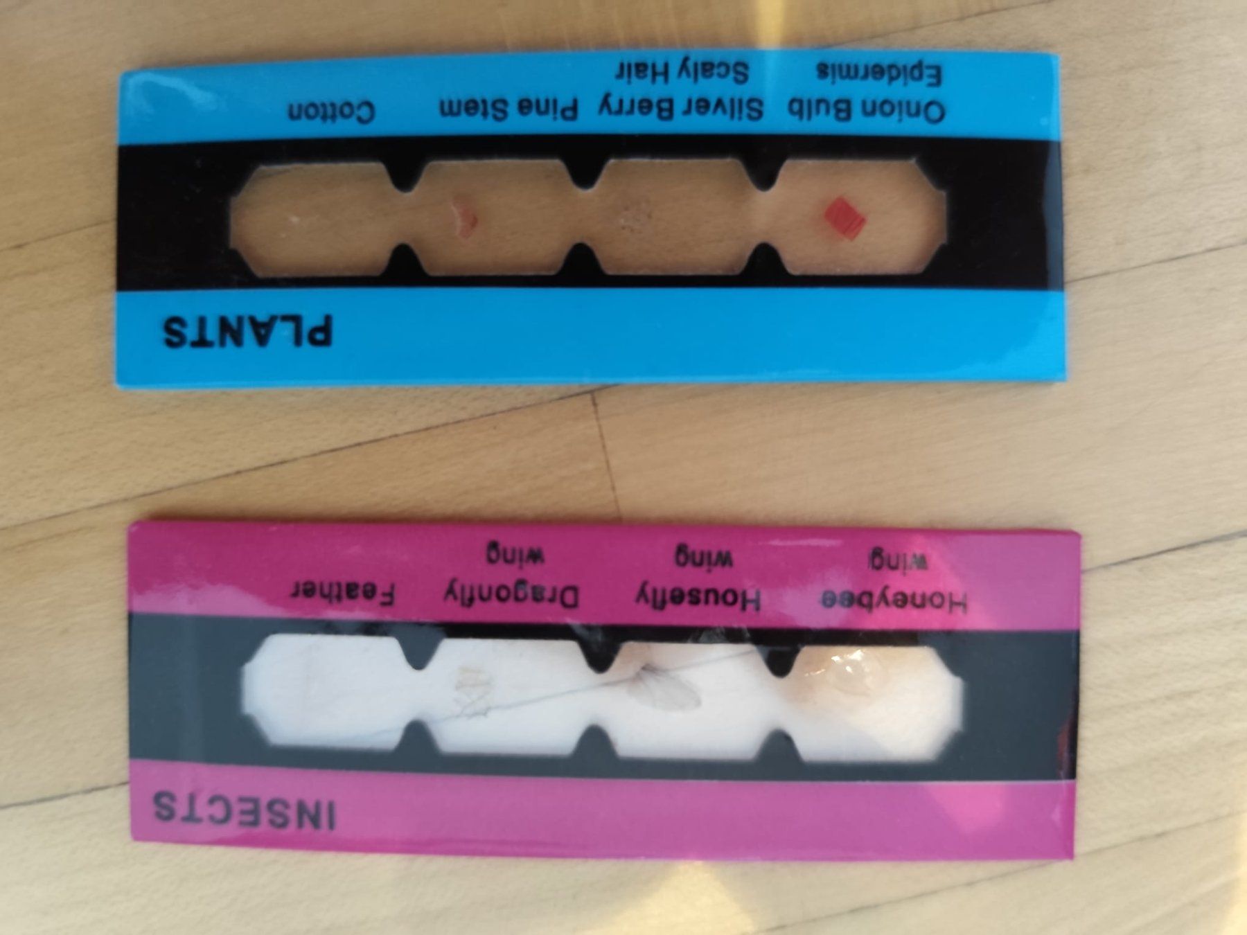 Microscopi: Mikroskop – Usato da Sargans venduto da sib_wpp2 2