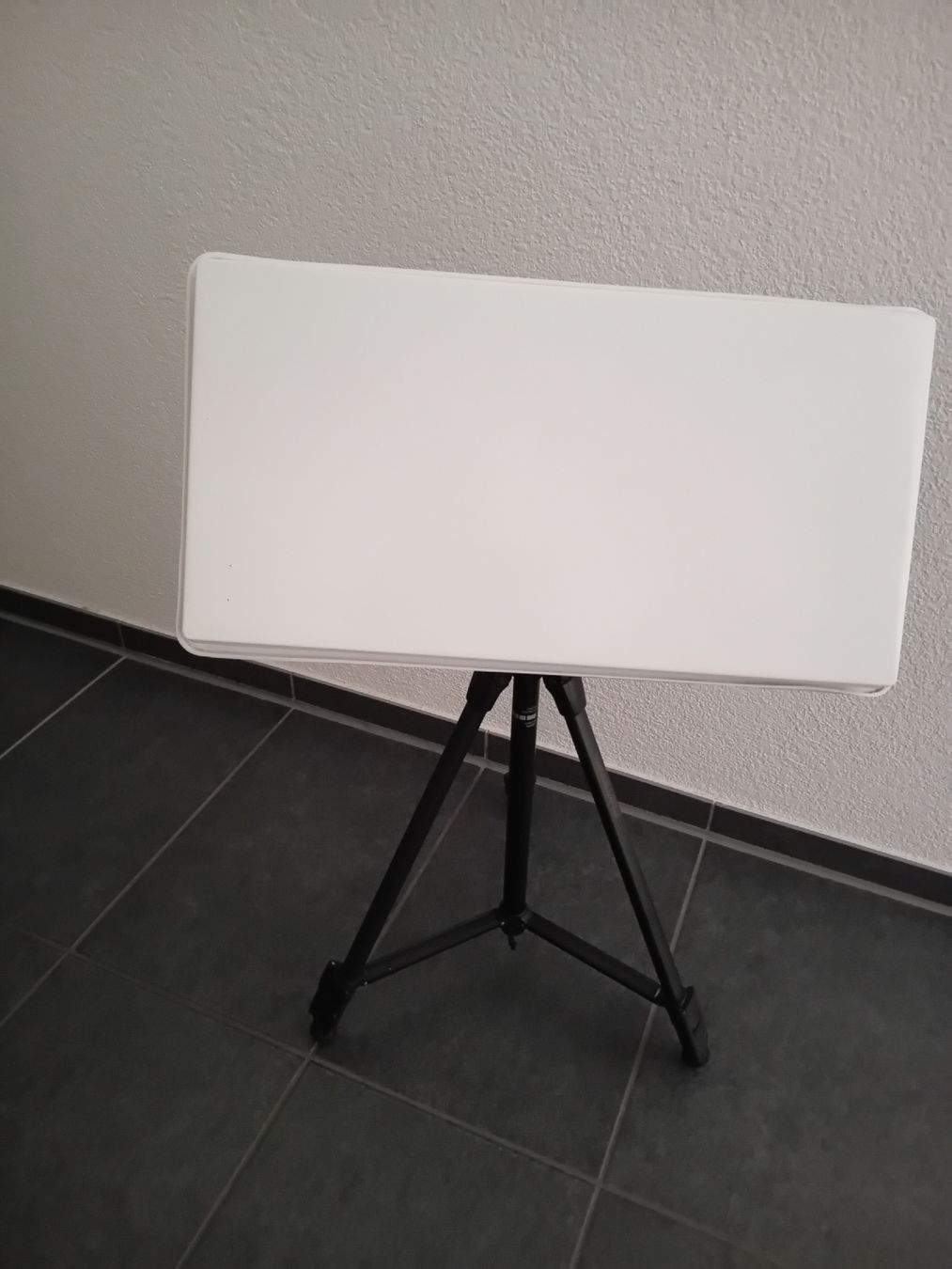 Antenne parabolique: Selfsat Sat-Antenne – D'occasion à Burgdorf par carodesign1 3