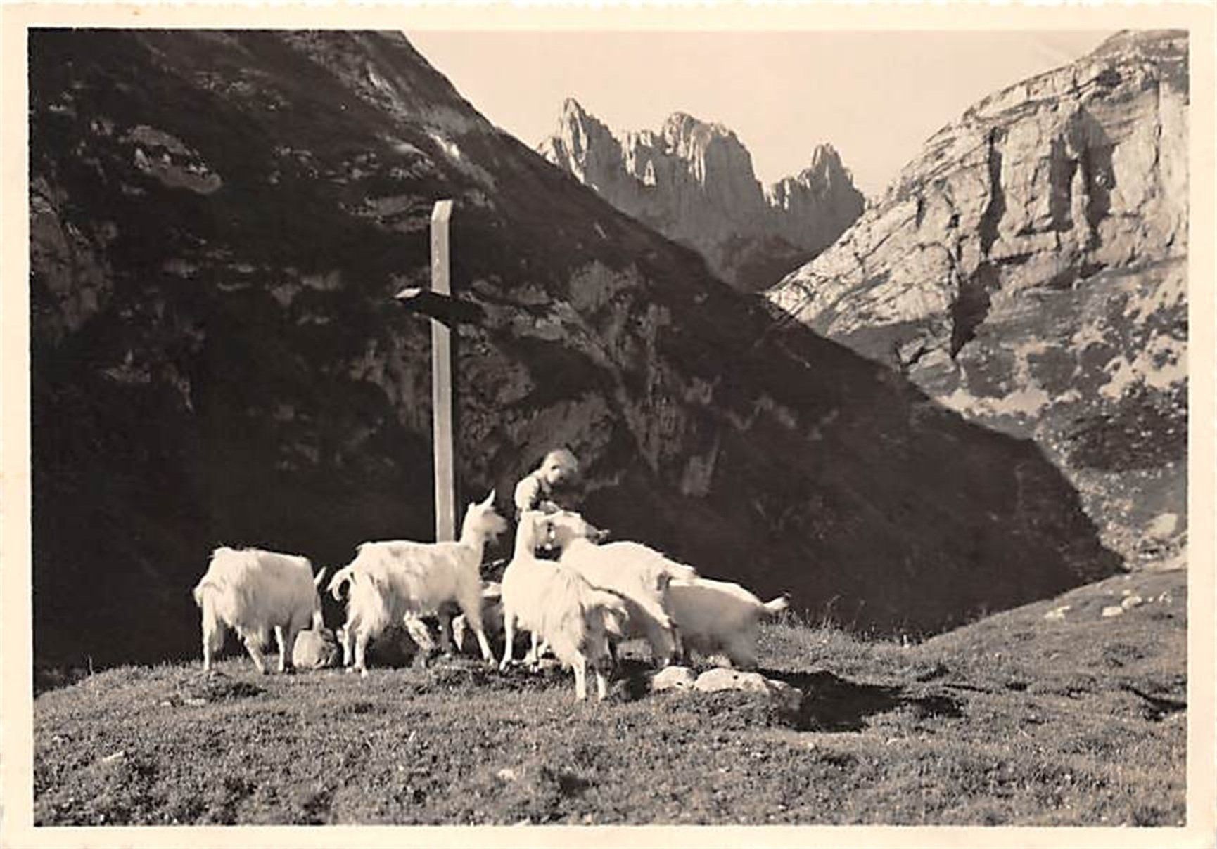 Cartoline postali: Furgglenalp, Knabe mit Ziegen – Usato da Ottikon b.Kemptth. venduto da Neptun1974