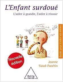 Libri: L'Enfant surdoué – Usato da Neuchâtel venduto da Dualseele