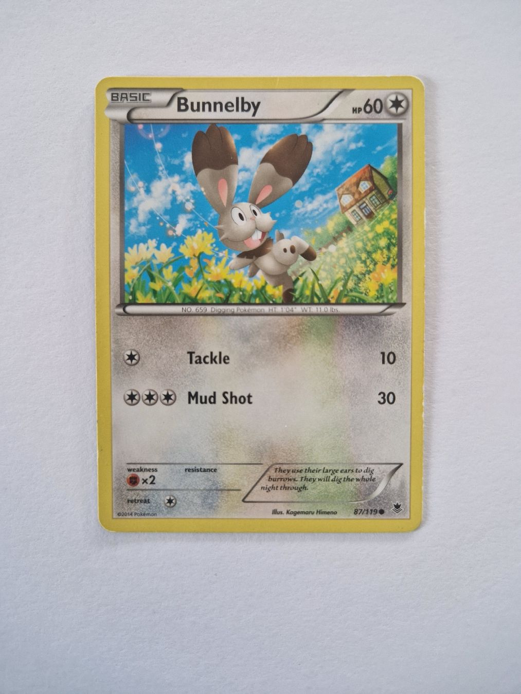 Pokémon Cartes à collectionner: Bunnelby - Phantom Forces - EN – D'occasion à Romont FR par raj_sjv9