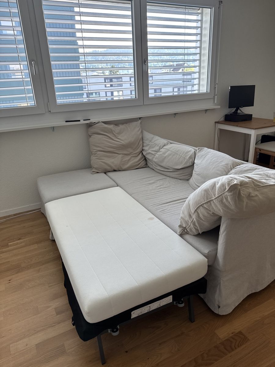 Ikea Sofas: Sofa with fold out bed (IKEA SANDBACKEN) – D'occasion à Zürich par seb_lkz2 3