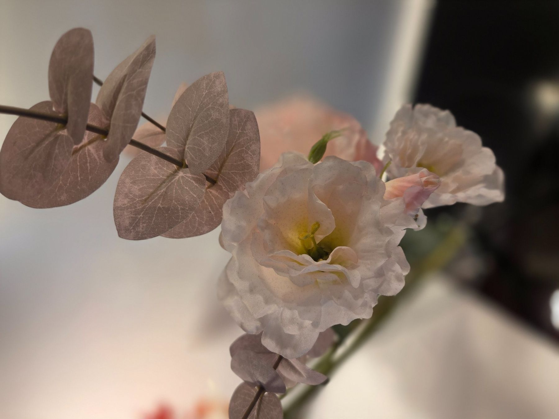 Plantes & graines: Blumen plastik – D'occasion à Zürich par Lela-Mirela 2