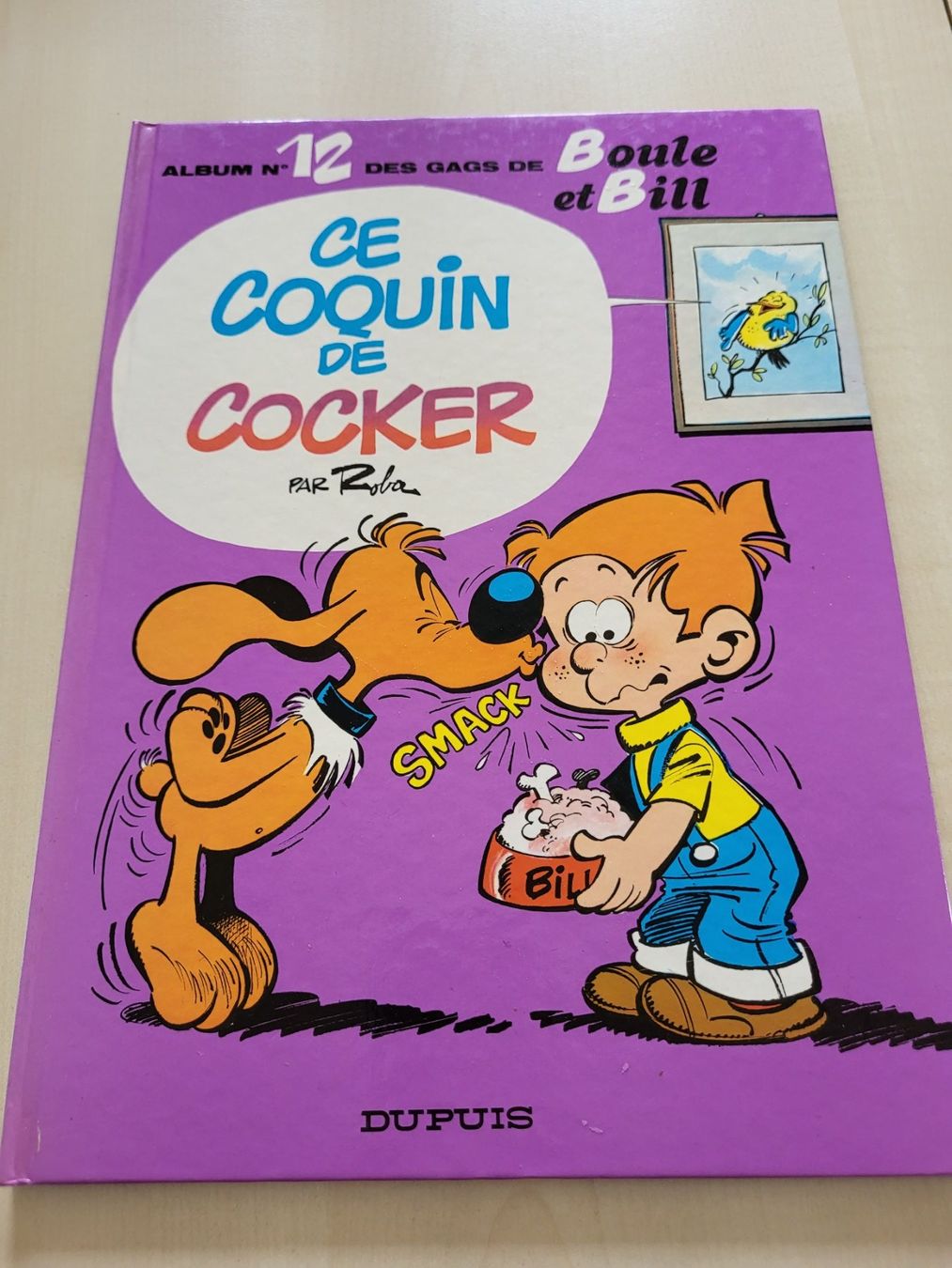 Fumetti: Bande dessinée Boule et Bill – Usato da St-Ursanne venduto da kmi_6pyk