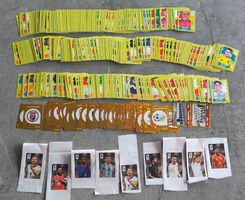 FIFA WM 2026 PANINI / ca. 500 Stück Lot