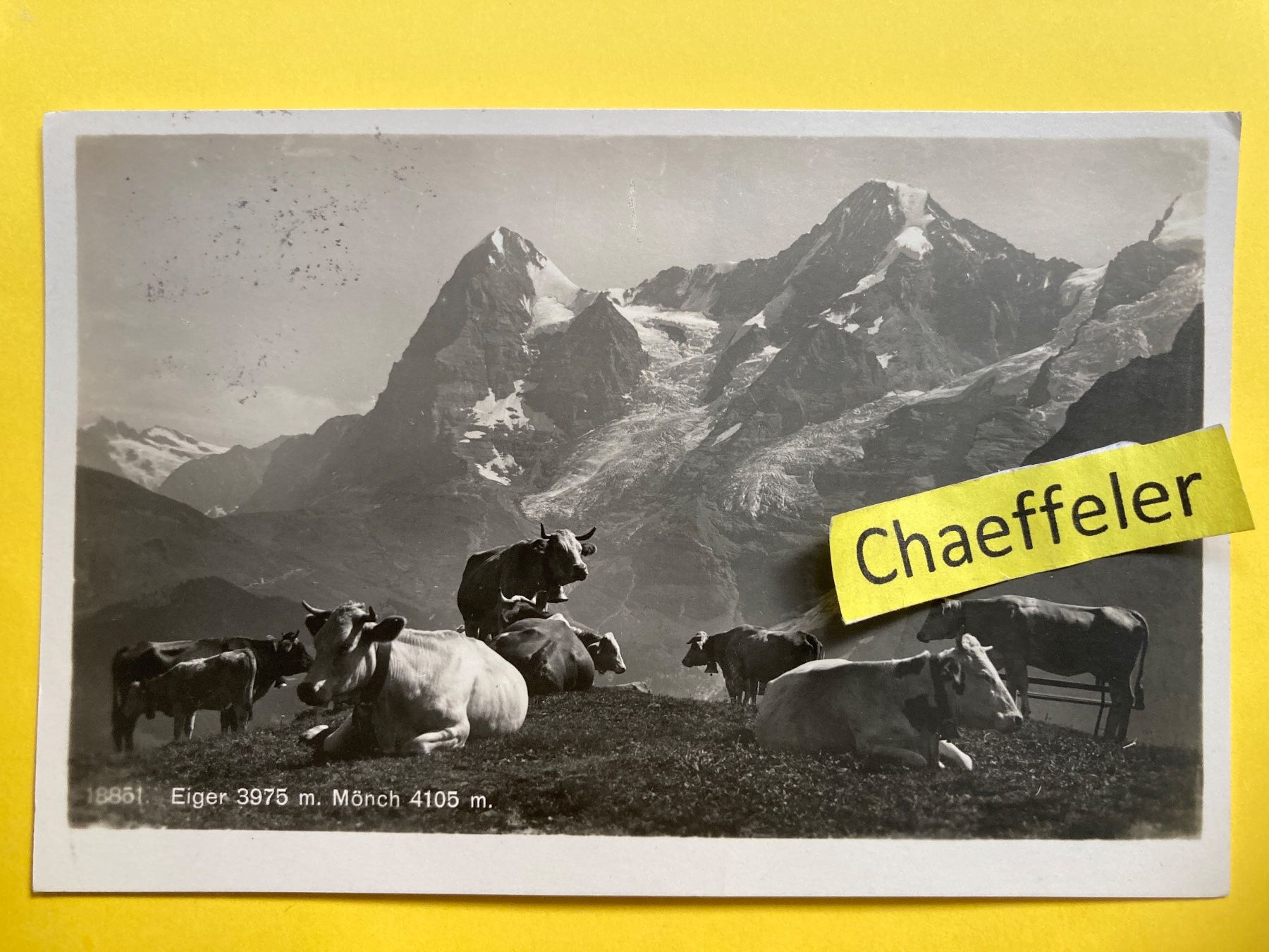Cartes postales: 1924  Eiger & Mönch – D'occasion à Zürich par Chaeffeler