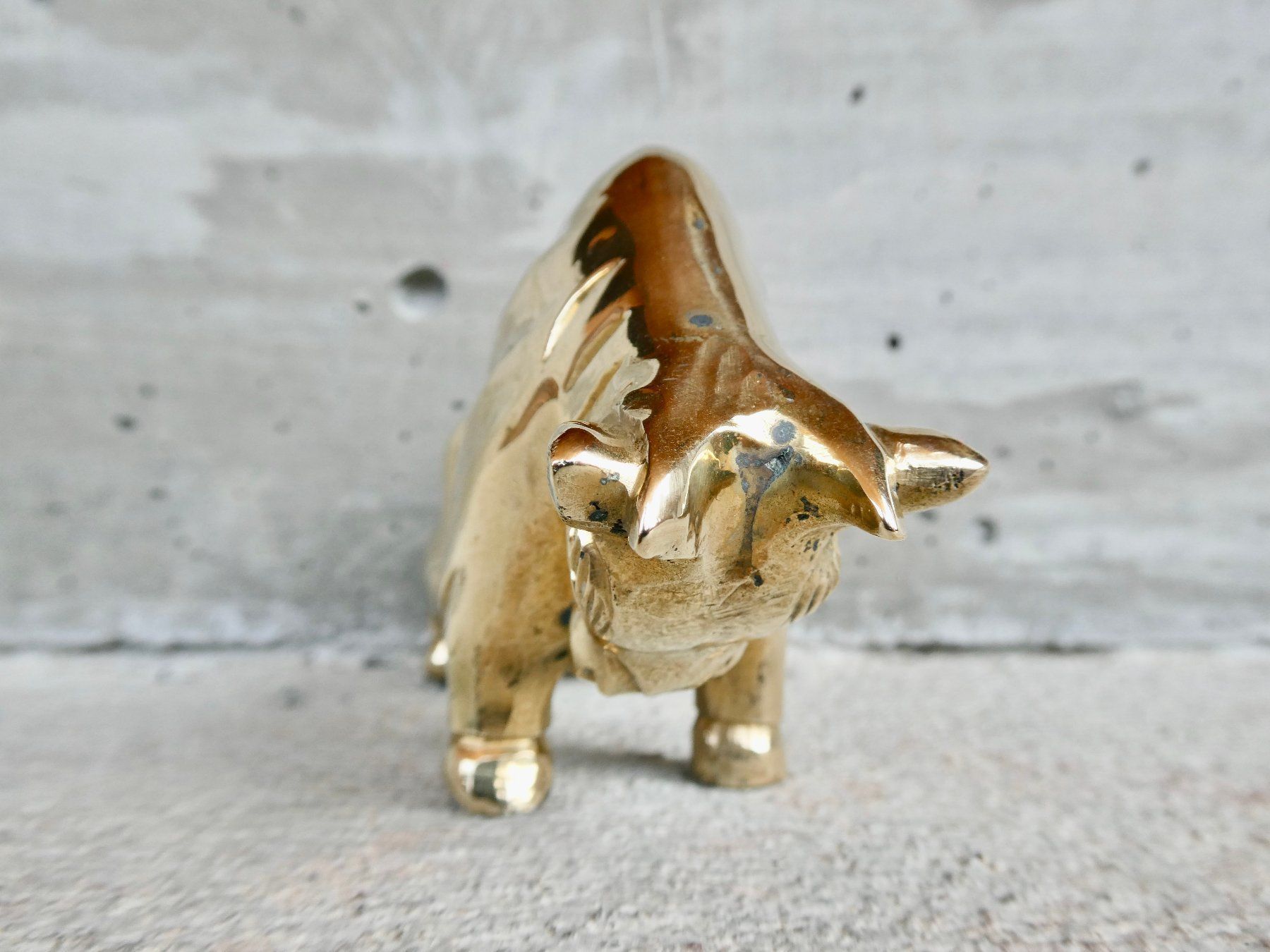 Statuette: Stier schwerer Messingguss poliert – Usato da Lüchingen venduto da Eeizo 1