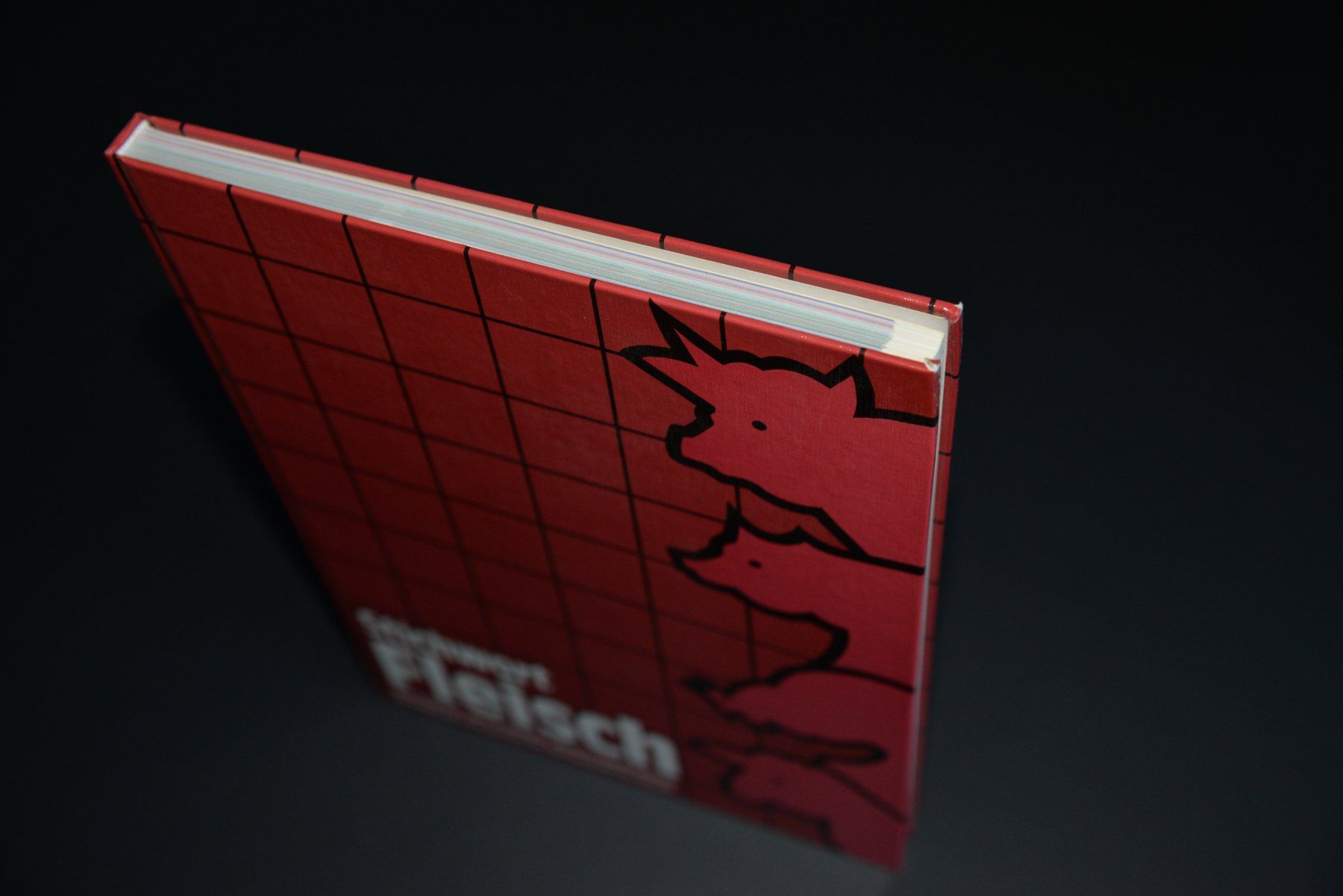 Libri: Stichwort Fleisch, 1. Auflage, 1985 – Usato da Lungern venduto da Kammer-Lungern 3