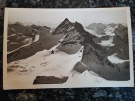 Die Jungfrau