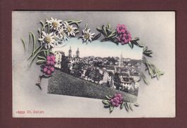 ST. GALLEN - Teilansicht - Blumen - 1910