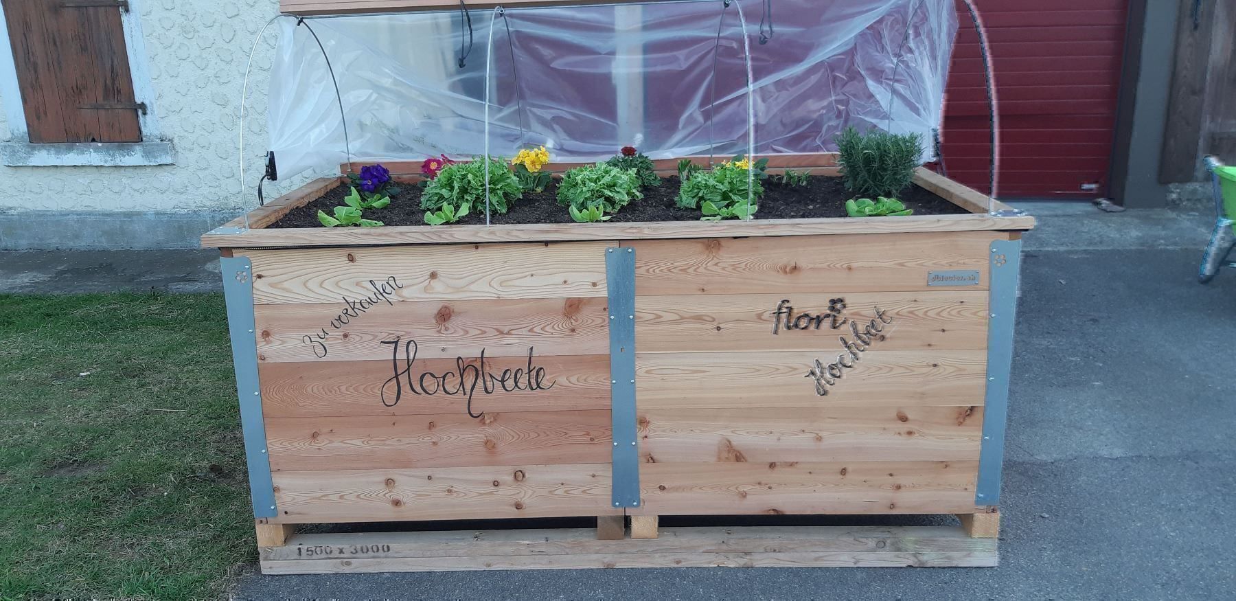 Box contenitori: Hochbeet massiv – Nuovo e nell'imballaggio originale da Gächlingen venduto da dbleuler 3