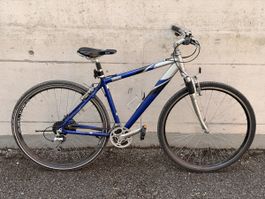 Raleigh MTB Velo / Fahrrad / Bike 26“