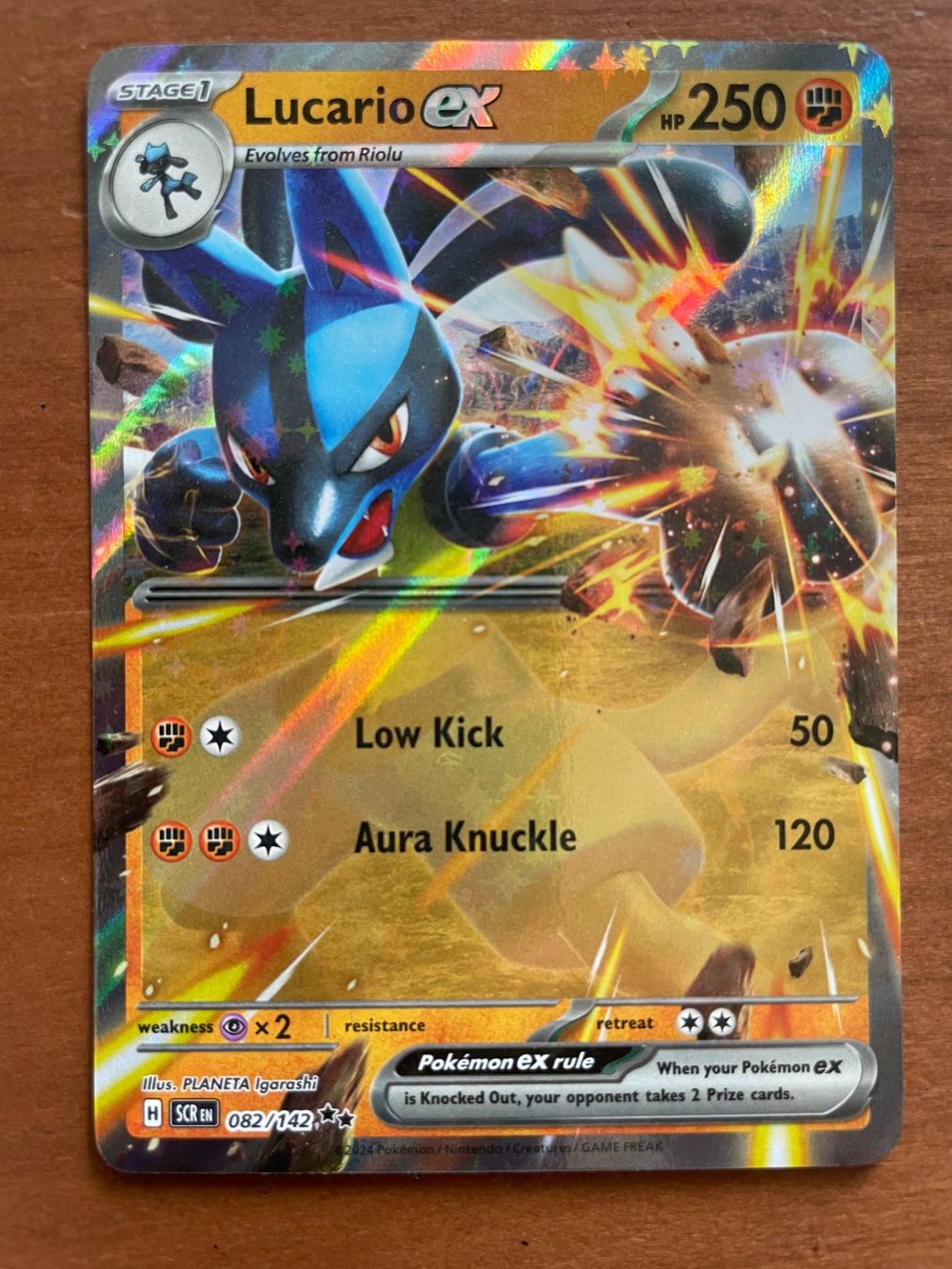 Pokémon Carte collezionabili: Pokemon Lucario eX ENG (Versand gratis) – Nuovo (secondo la descrizione) da Chur venduto da Angerson